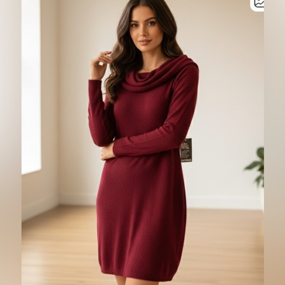 Express Long sleeves burgundy lg Dress with crowl neck line